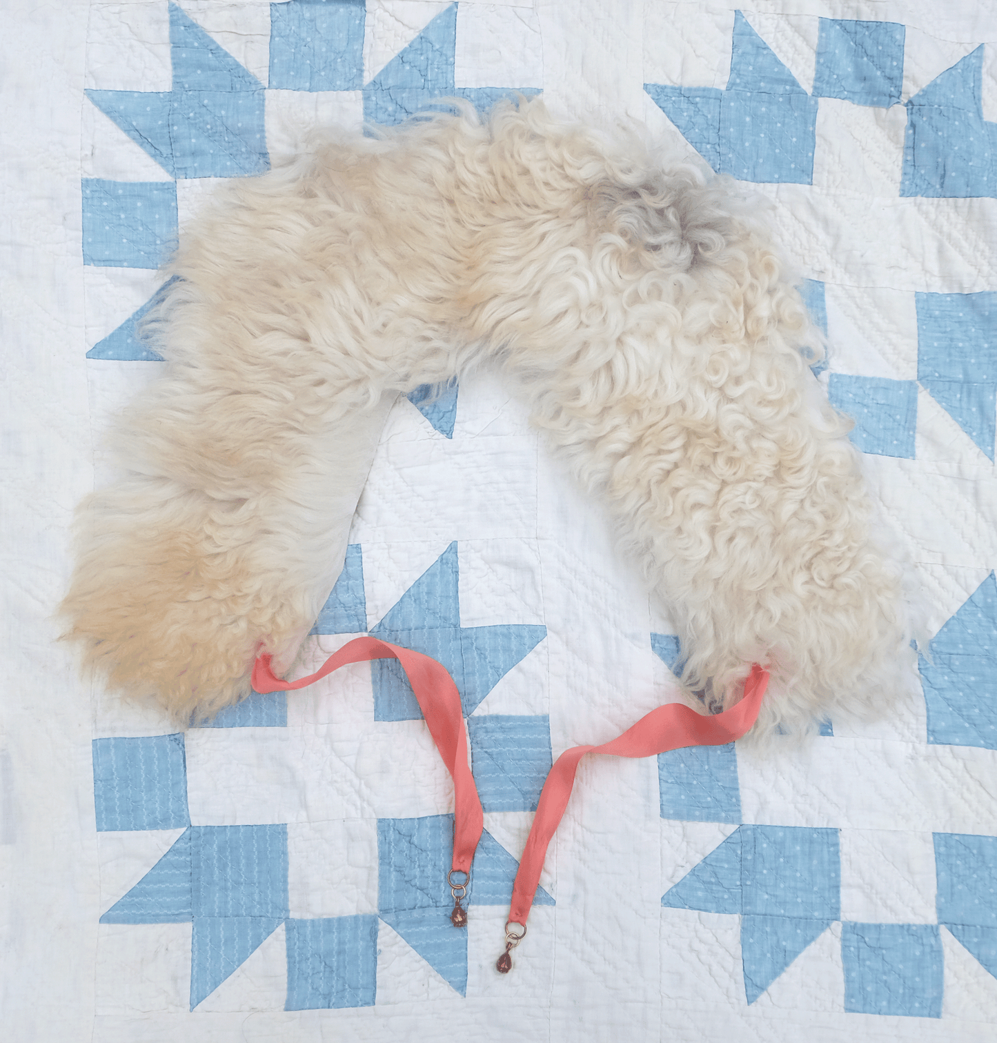 Sheepskin Shawl No.2