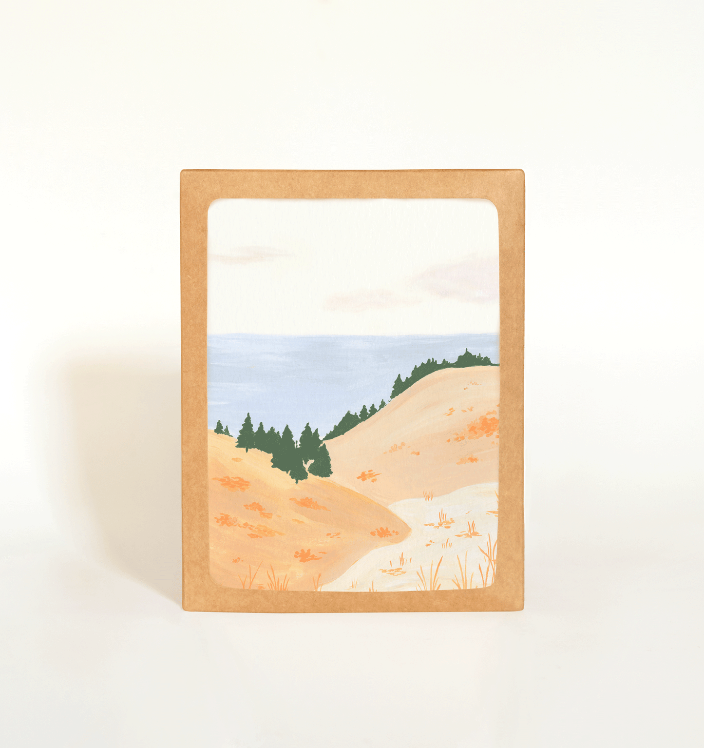 Bluffs Card Boxed Set