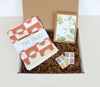 Seasonal Stationery Gift Box