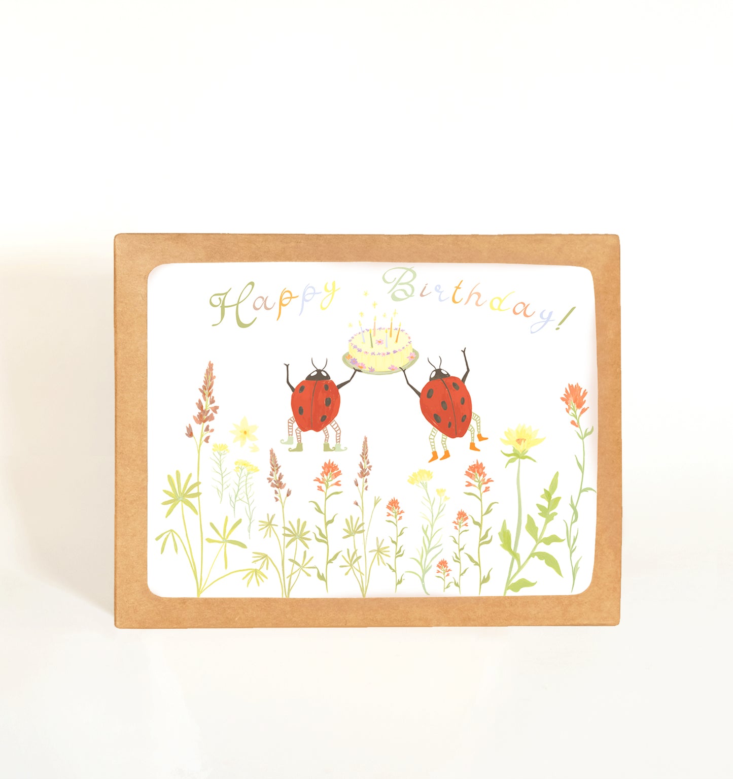 Birthday Bugs Greeting Card Boxed Set