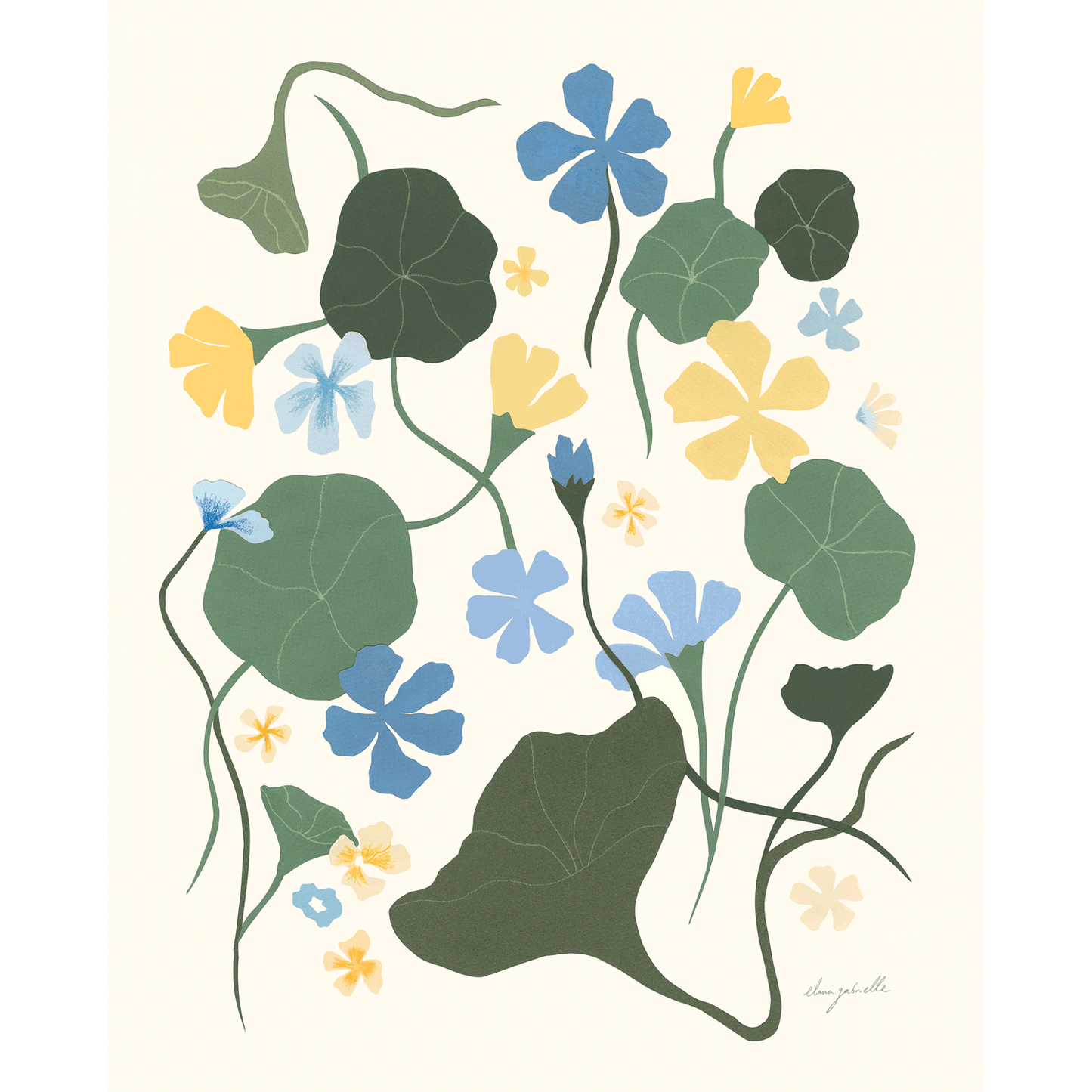 Blue Nasturtiums Print