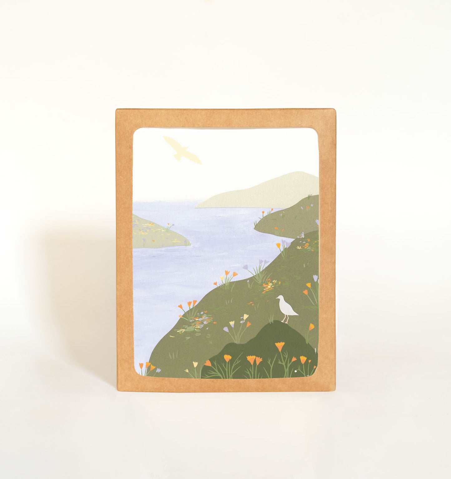 Coastal Cliffs Card Boxed Set