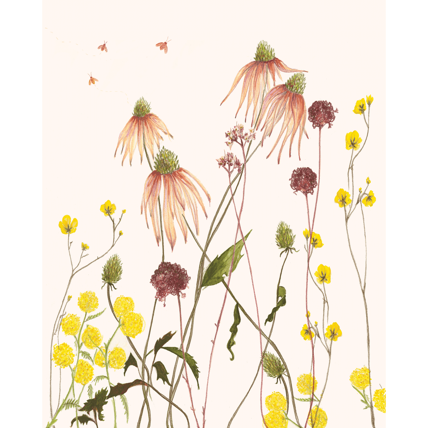 Garden Flowers Print