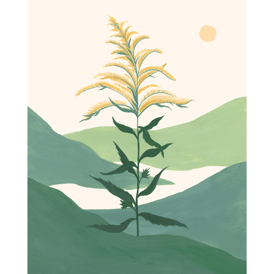 Goldenrod Print