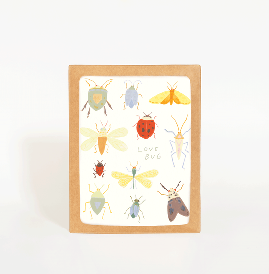 Love Bug Card Boxed Set