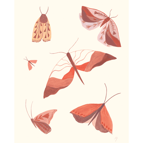 Moth Study Print