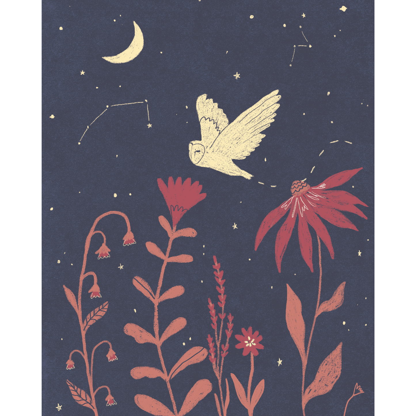 Night Owl Print