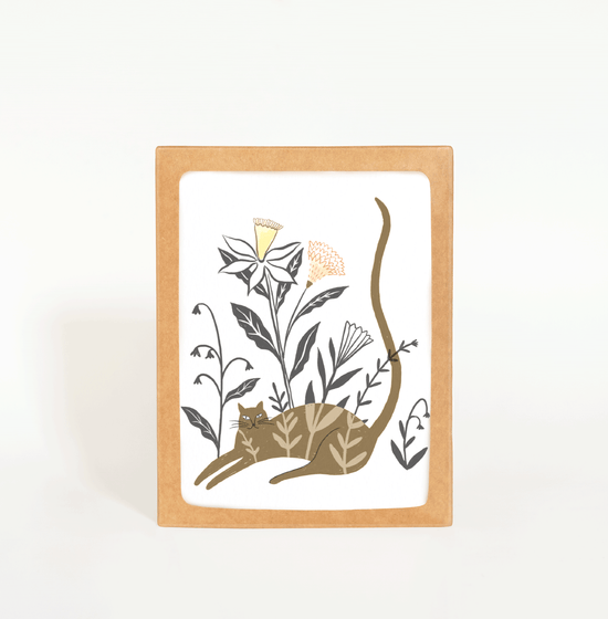 Plant Cat Card Boxed Set