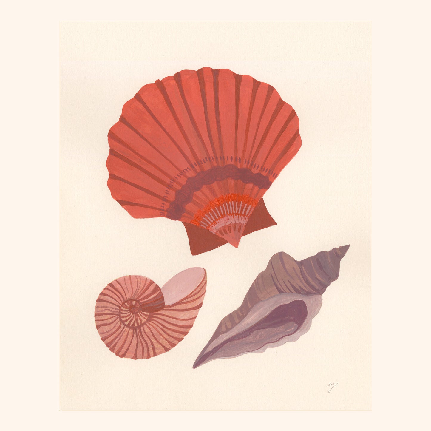 Seashell Study Print