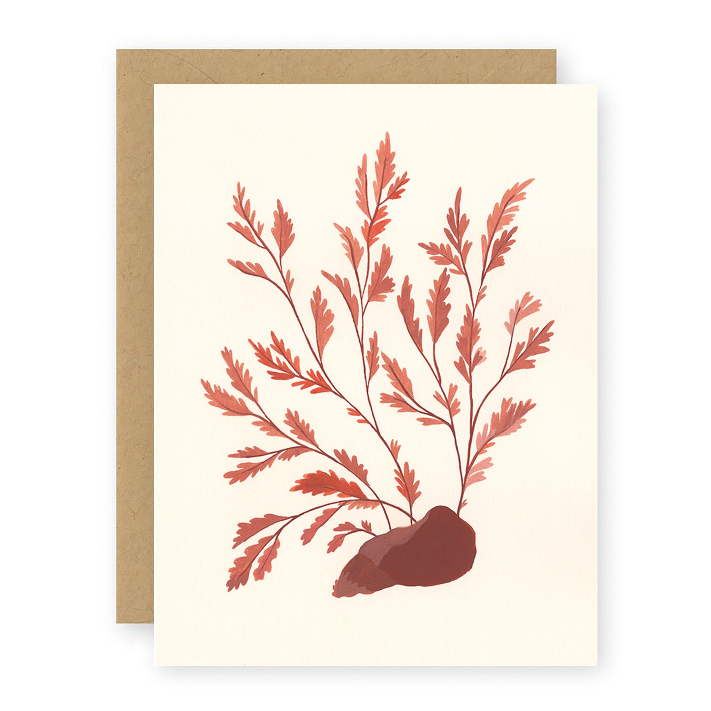 Seaweed Greeting Card