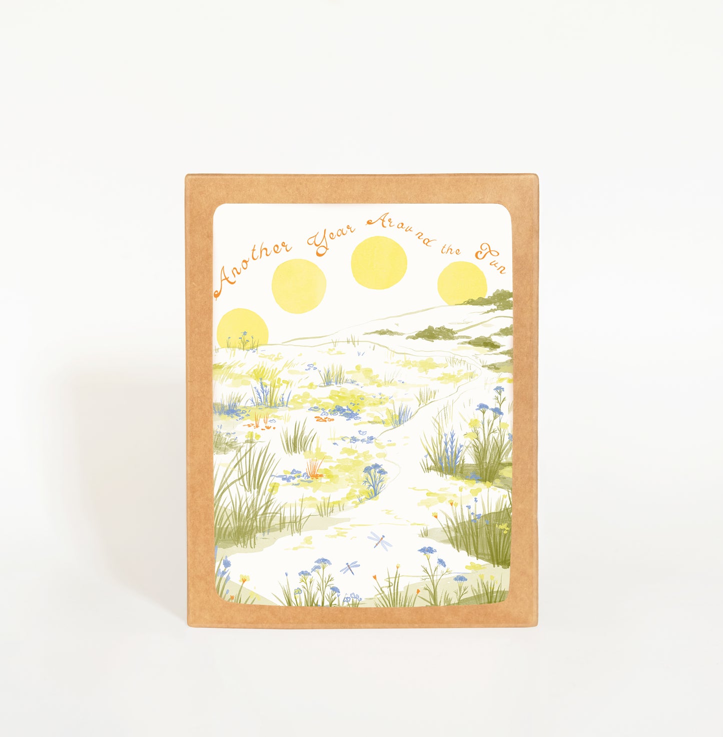 Birthday Sun Meadow Greeting Card Boxed Set