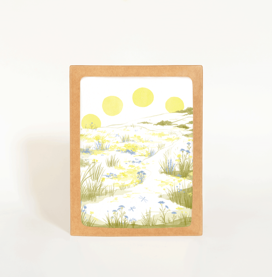 Sun Meadow Card Boxed Set