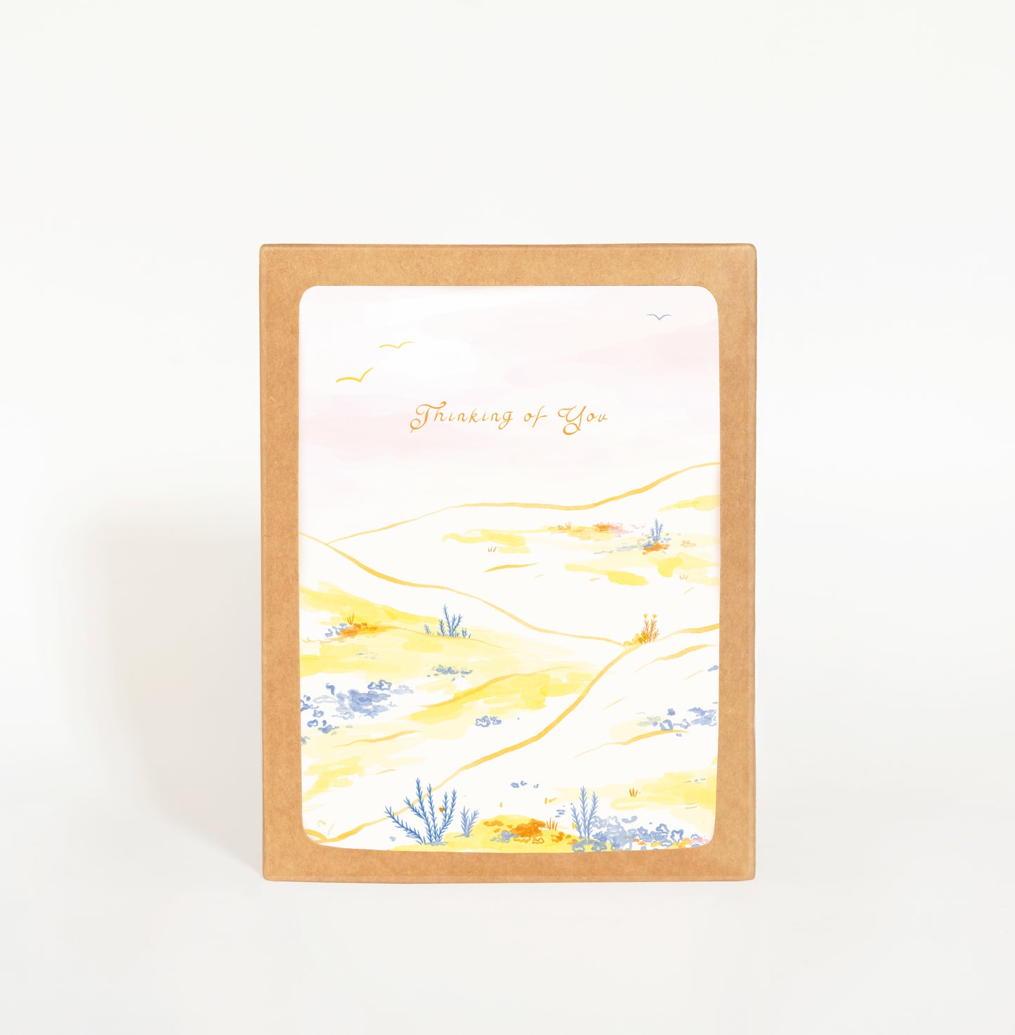 Thinking of You Wildflowers Greeting Card Boxed Set
