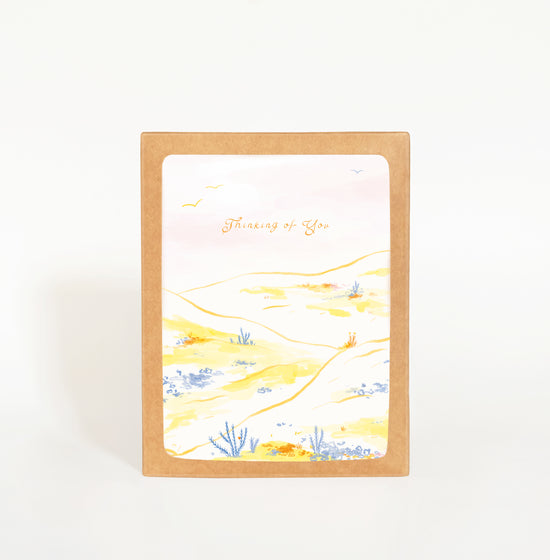 Thinking of You Wildflowers Greeting Card Boxed Set