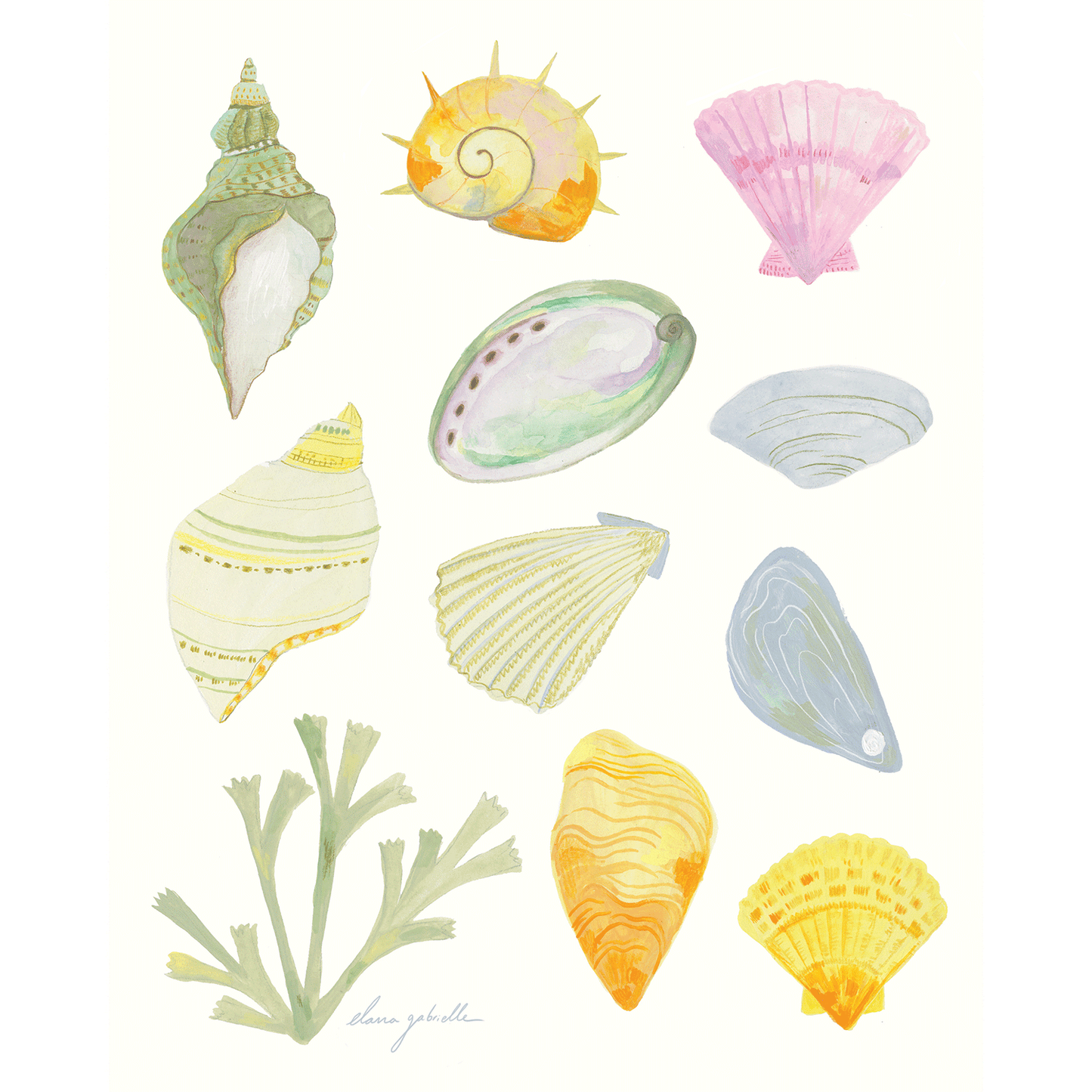 Ocean Treasures Print