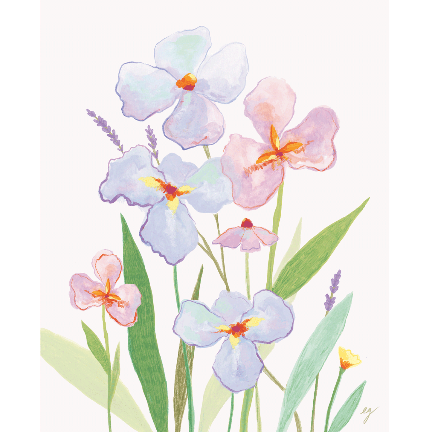 Watercolor Iris Print