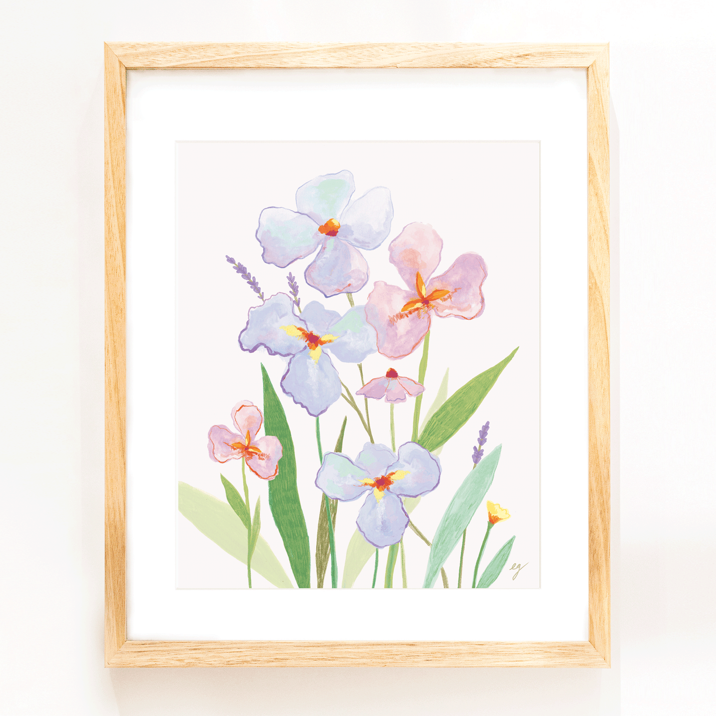 Watercolor Iris Print