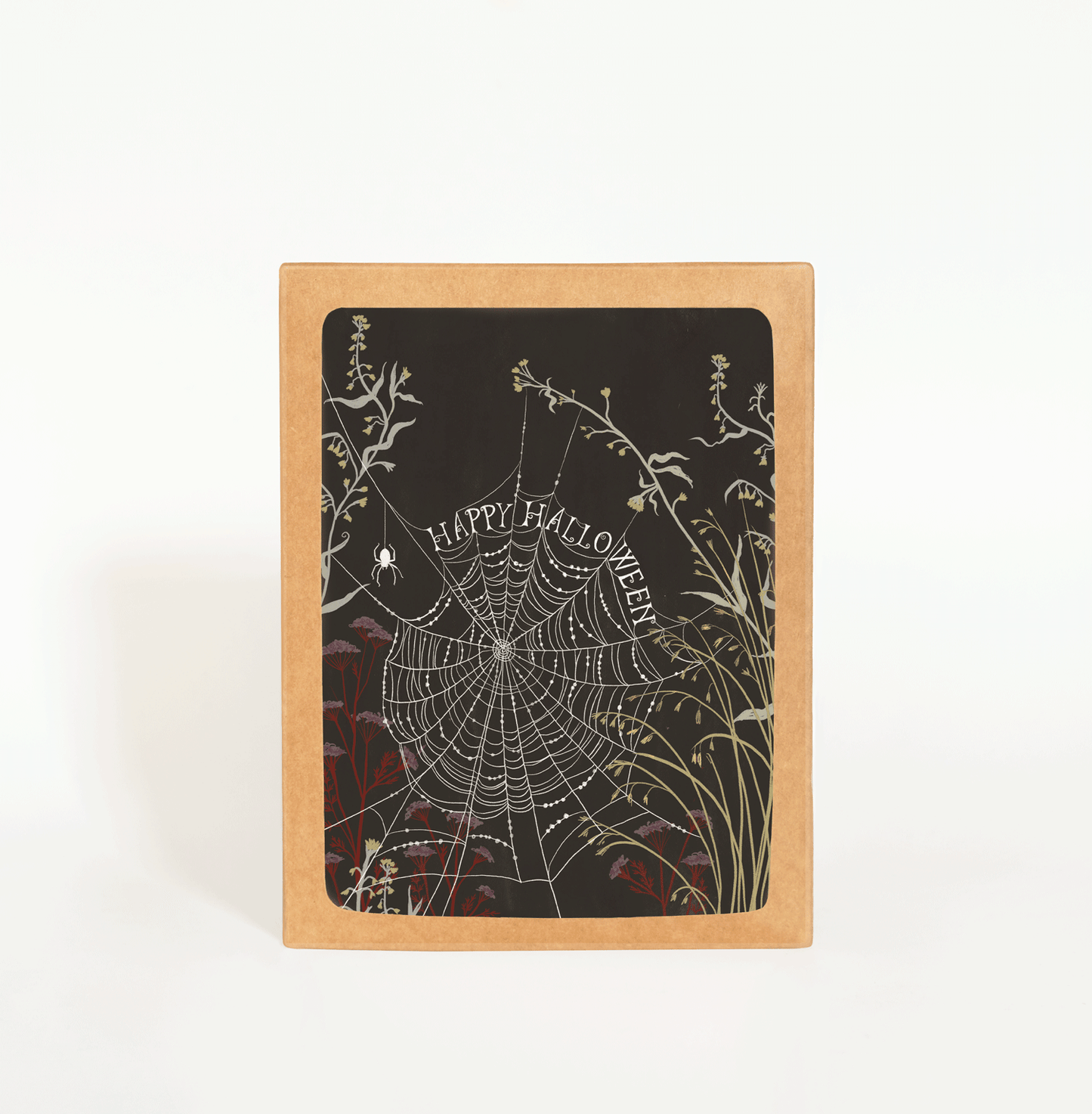 Halloween Spiderweb Boxed Card Set