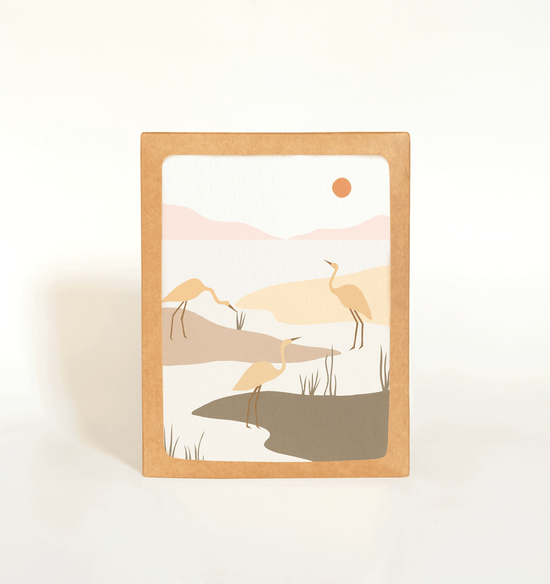 Marsh Birds Card Boxed Set