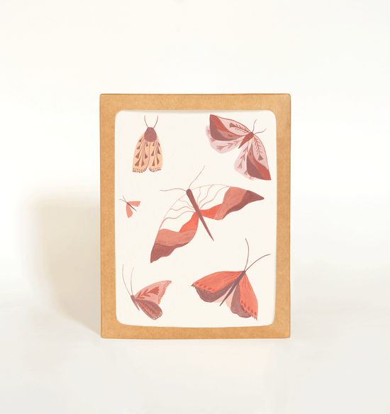 Moths Card Boxed Set