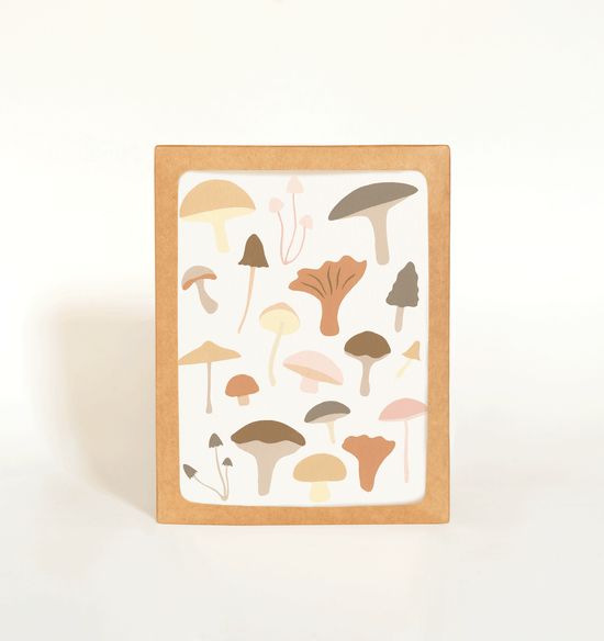 Mushrooms Card Boxed Set