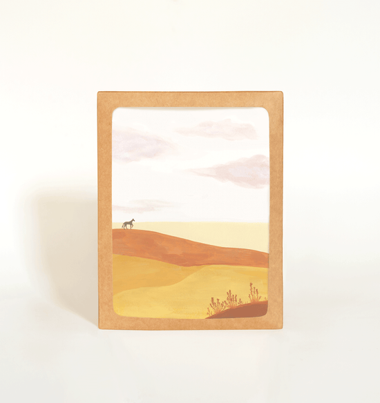 Plains Card Boxed Set