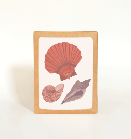 Seashells Greeting Card