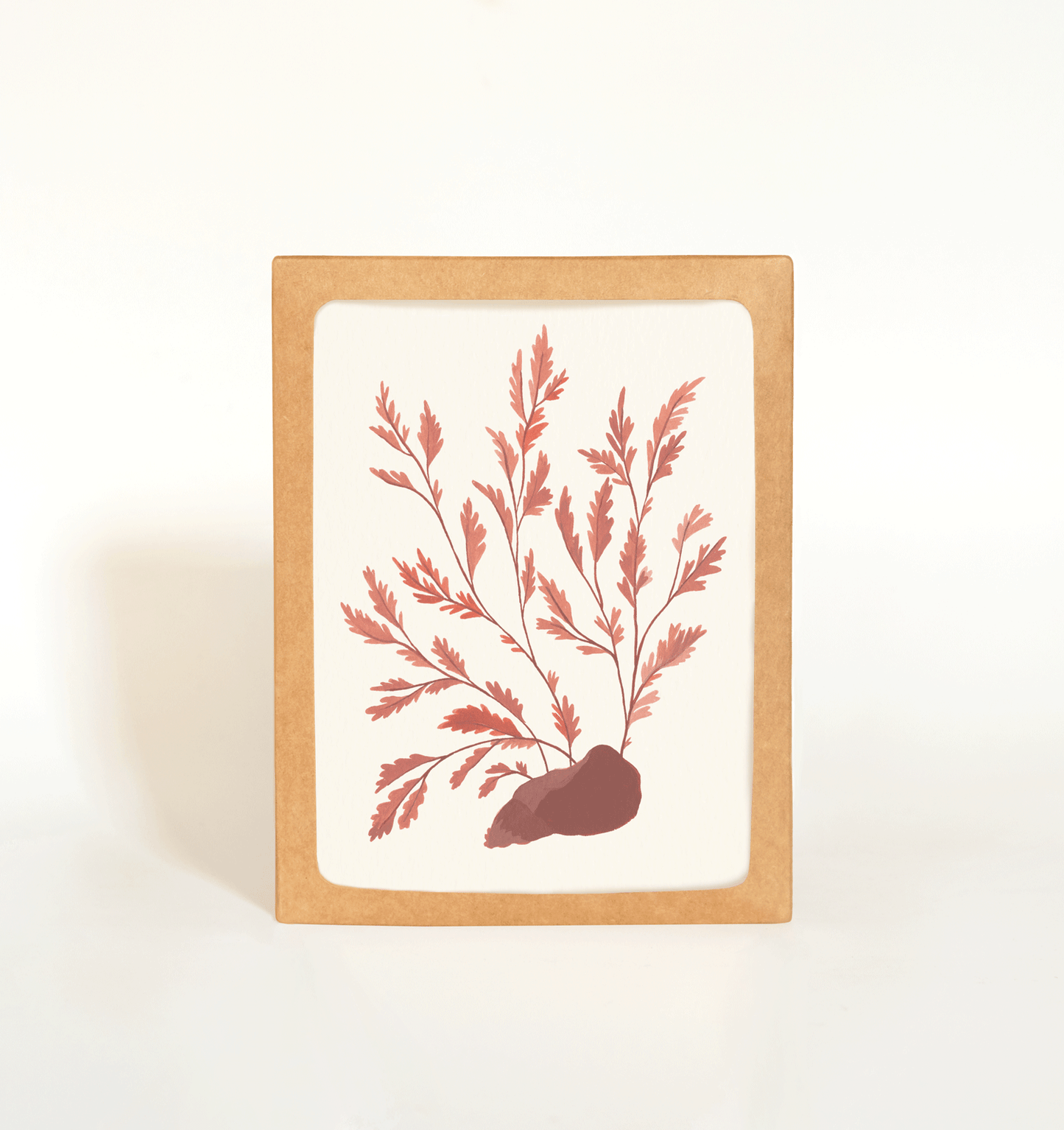 Seaweed Greeting Card