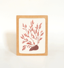 Seaweed Greeting Card