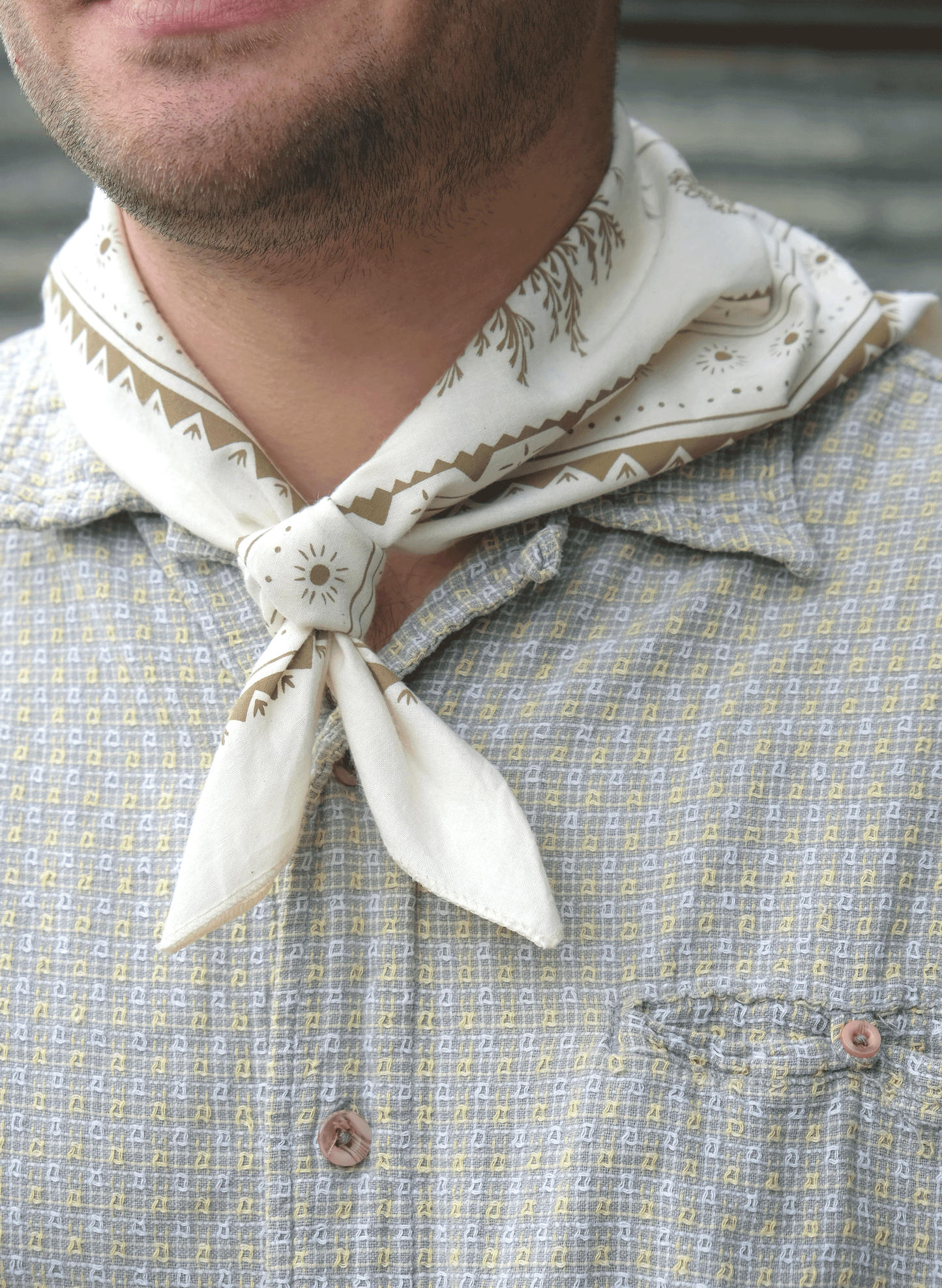 High Desert Bandana