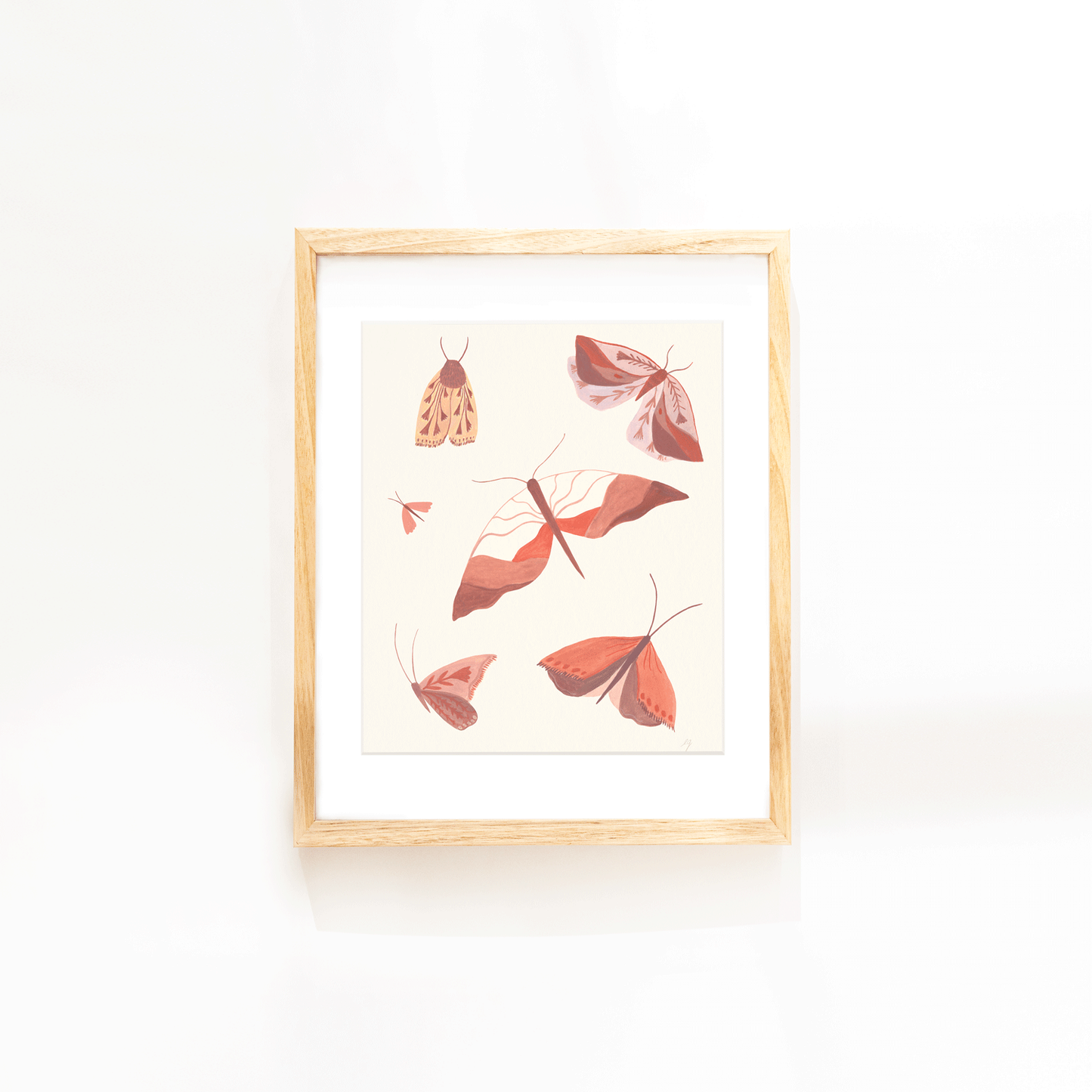 Moth Study Print