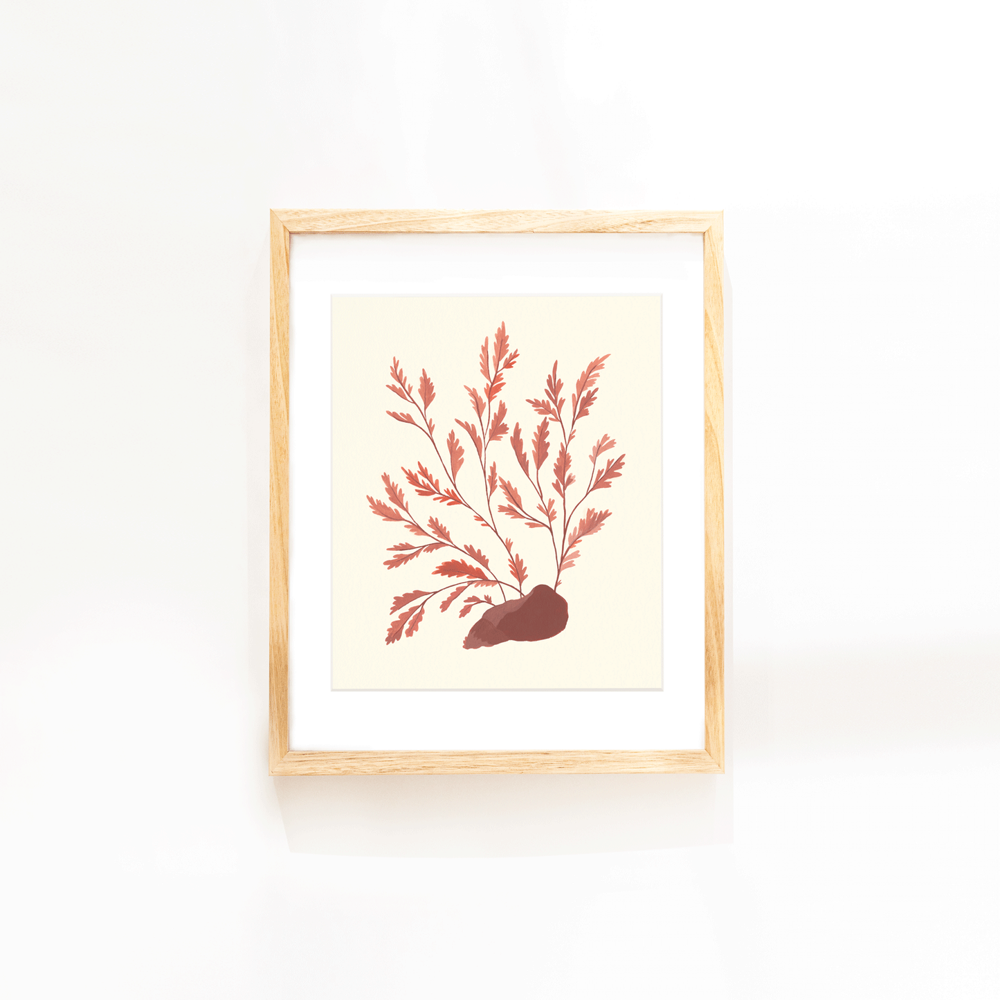 Seaweed Study Print