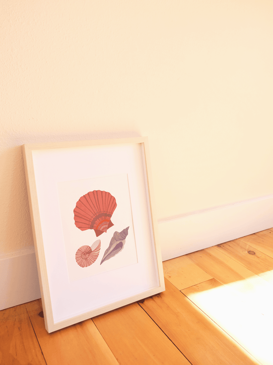 Seashell Study Print